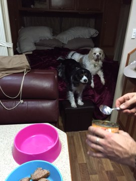 But What About Ours?